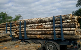 Официальная информация о перевернувшемся лесовозе в Курагинском районе